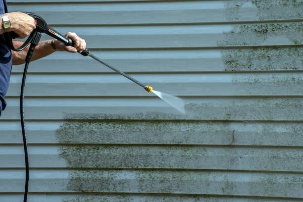 Best Pool Deck Cleaning  in Hunter, TN
